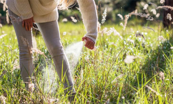 A lady sprays for bugs